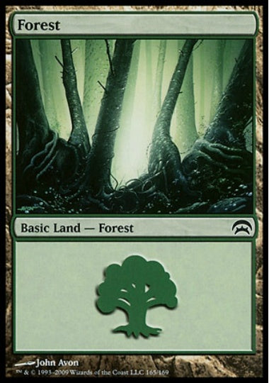 (英)森 / Forest【HOP】 No.165