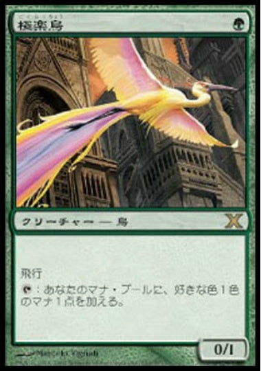 (日)【Foil】極楽鳥 / Birds of Paradise【10E】 No.252