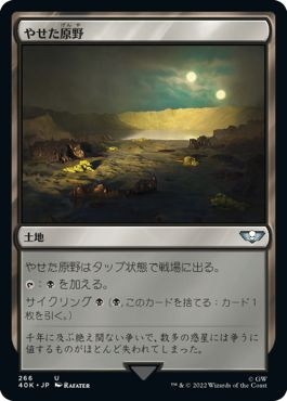 (日)やせた原野 / Barren Moor【40K】 No.266