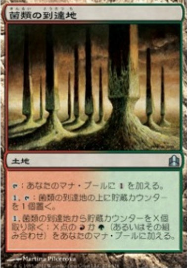 (日)菌類の到達地 / Fungal Reaches【CMD】 No.274