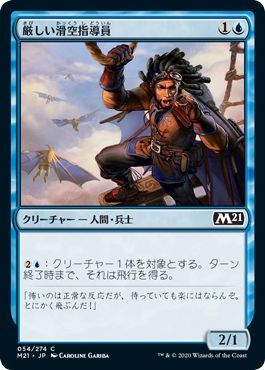 (日)【Foil】厳しい滑空指導員 / Keen Glidemaster【M21】 No.054