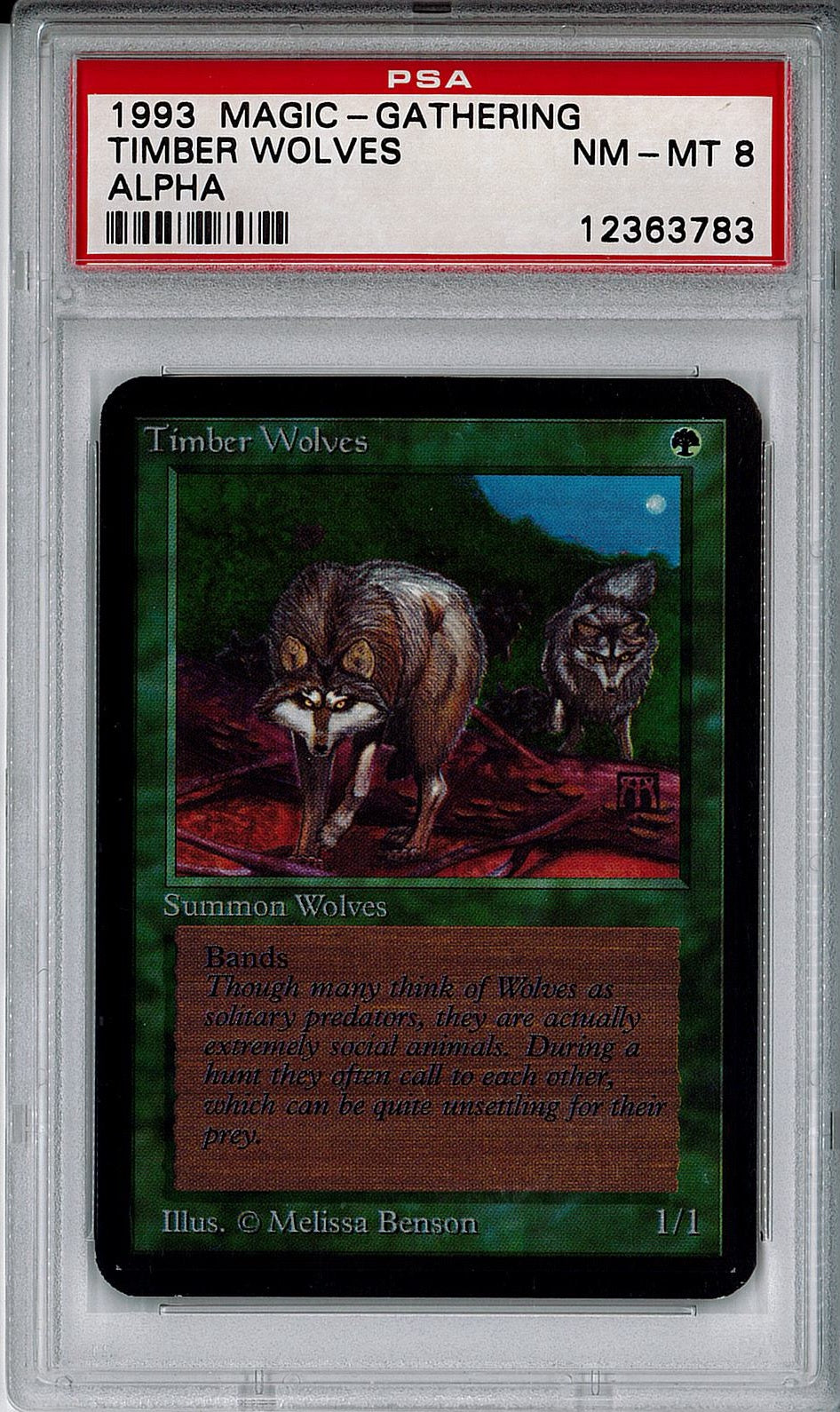 [鑑定品](英)森林狼 / Timber Wolves【ALPHA】 PSA8 ID:12363783 [委託販売品]