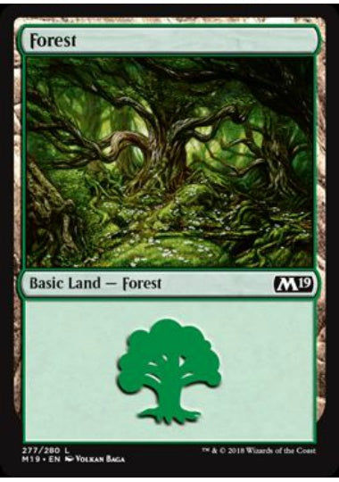 (英)森 / Forest【M19】 No.277