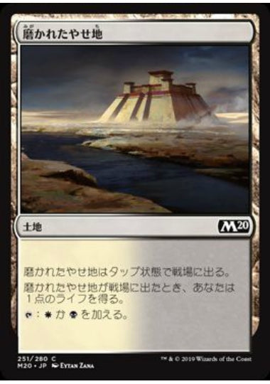 (日)【Foil】磨かれたやせ地 / Scoured Barrens【M20】 No.251