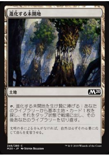 (日)【Foil】進化する未開地 / Evolving Wilds【M20】 No.246