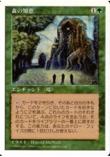 (日)森の知恵 / Sylvan Library【5ED】 No.329