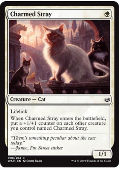 (英)【Foil】幸運な野良猫 / Charmed Stray【WAR】 No.008
