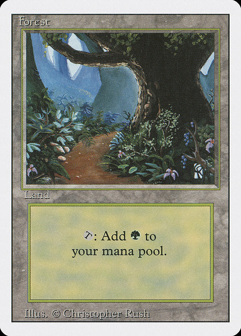 (英)森 / Forest【3ED】 (Flowers and Path) No.304