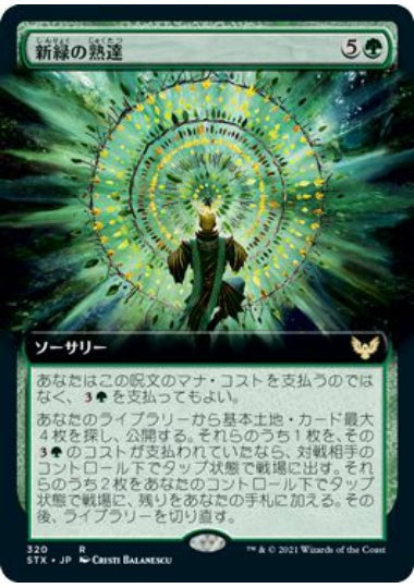 (日)新緑の熟達 / Verdant Mastery ★拡張枠★ 【STX】 No.320