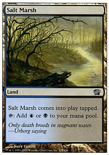 (英)【Foil】塩の湿地 / Salt Marsh【8ED】 No.325
