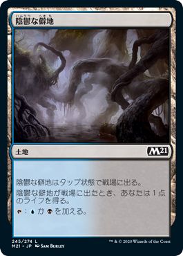 (日)【Foil】陰鬱な僻地 / Dismal Backwater【M21】 No.245
