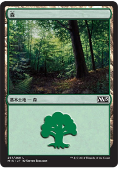(日)森 / Forest【M15】 No.267