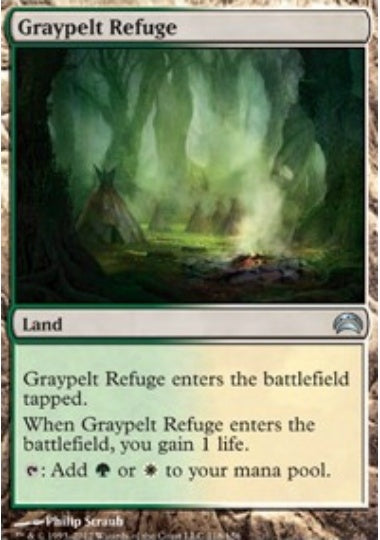 (英)灰色革の隠れ家 / Graypelt Refuge【PLANE2012】 No.118