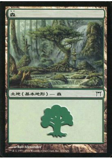 (日)森 / Forest【CHK】 No.304