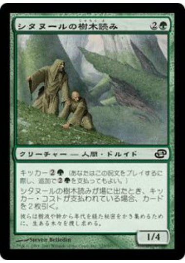 (日)【Foil】シタヌールの樹木読み / Citanul Woodreaders【PLC】 No.125