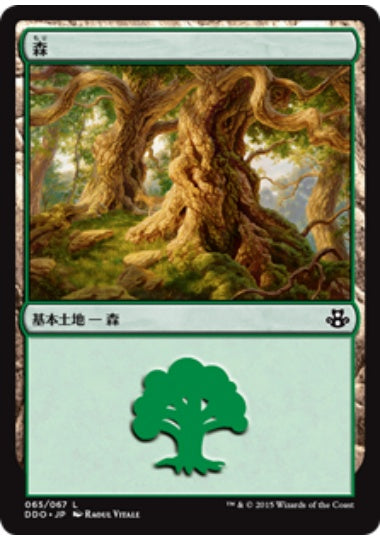 (日)森 / Forest【EVSK】 No.065