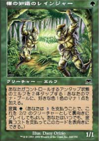 (日)樺の知識のレインジャー / Birchlore Rangers【ONS】 No.248