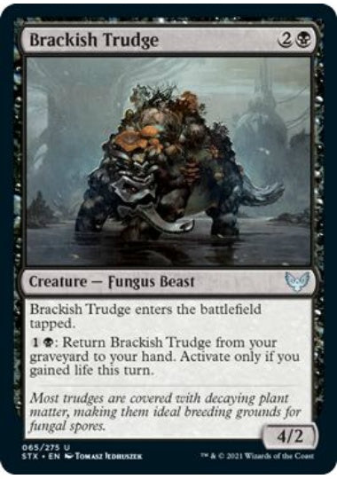 (英)【Foil】汽水トラッジ / Brackish Trudge【STX】 No.065