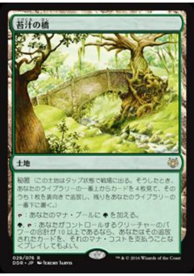 (日)苔汁の橋 / Mosswort Bridge【NVSO】 No.029