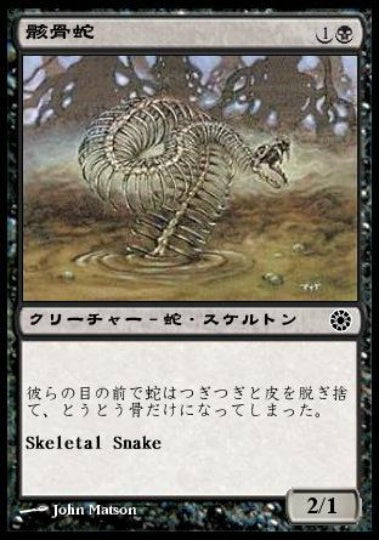(日)骸骨蛇 / Skeletal Snake【POR】 No.111