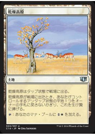 (日)乾燥高原 / Karoo【C14】 No.303