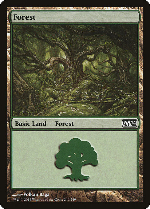 (英)森 / Forest【M14】 No.246