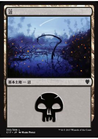 (日)沼 / Swamp【C17】 (Mark Poole) No.302