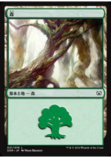 (日)森 / Forest【NVSO】 No.031
