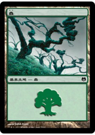 (日)森 / Forest【HVSM】 No.078