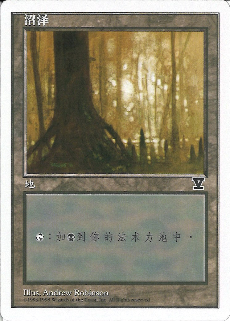 (簡体字)沼 / Swamp【5ED】 No.441