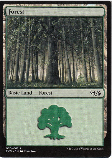 (英)森 / Forest【DDAEVG】 No.030