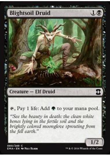 (英)【Foil】病み土のドルイド / Blightsoil Druid【EMA】 No.080