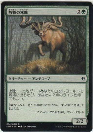 (日)放牧の林鹿 / Grazing Gladehart【ZVSE】 No.014