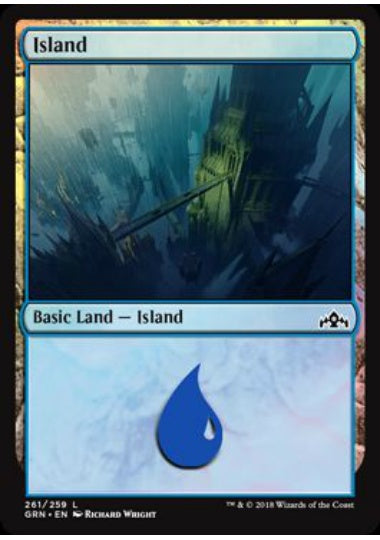 (英)【Foil】島 / Island【GRN】 No.261