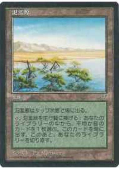 (日)氾濫原 / Flood Plain【MIR】 No.326