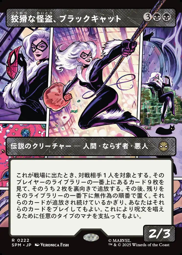 (日)狡猾な怪盗、ブラックキャット / Black Cat, Cunning Thief ★ボーダーレス★(パネル) 【SPM】 No.222