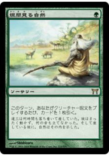 (日)垣間見る自然 / Glimpse of Nature【CHK】 No.210