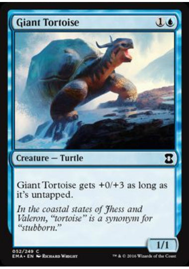(英)象亀 / Giant Tortoise【EMA】 No.052