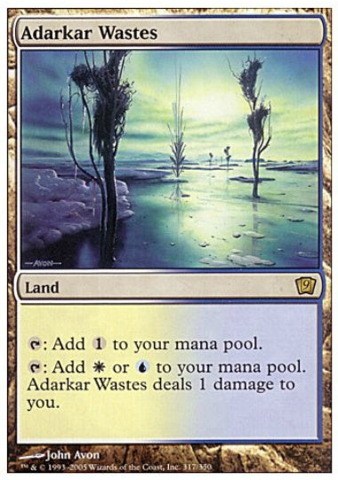 (英)【Foil】アダーカー荒原 / Adarkar Wastes【9ED】 No.317