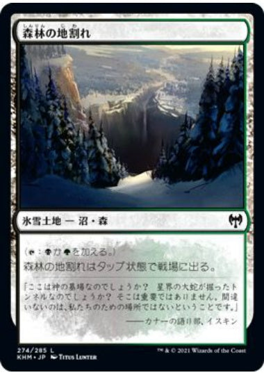 (日)【Foil】森林の地割れ / Woodland Chasm【KHM】 No.274
