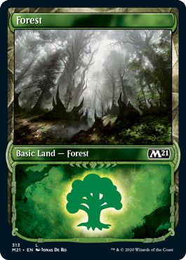 (英)【Foil】森 / Forest ★ショーケース枠★ 【M21】 No.313