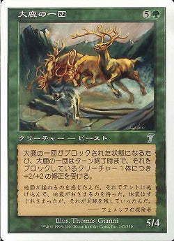 (日)【Foil】大鹿の一団 / Gang of Elk【7ED】 No.247