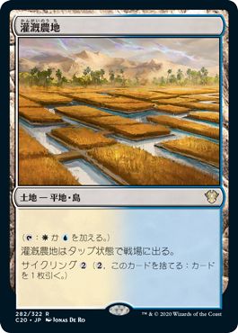 (日)灌漑農地 / Irrigated Farmland【C20】 No.282