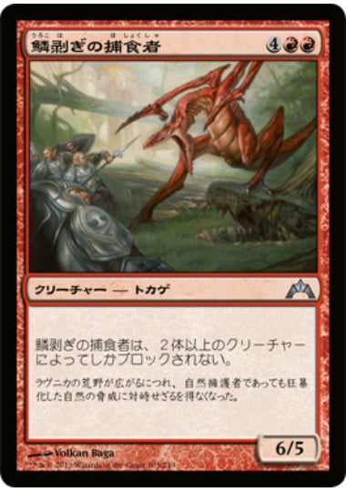 (日)【Foil】鱗剥ぎの捕食者 / Ripscale Predator【GTC】 No.103
