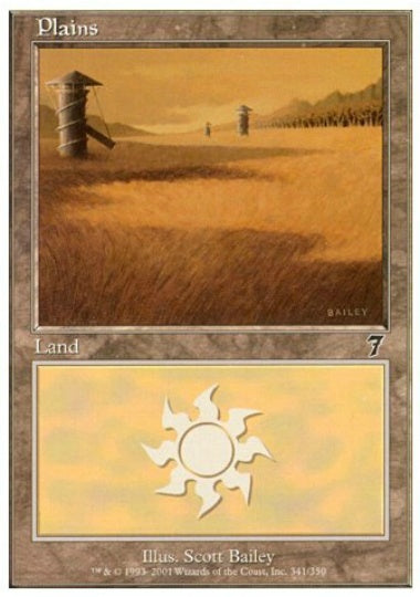 (英)平地 / Plains【7ED】 No.341