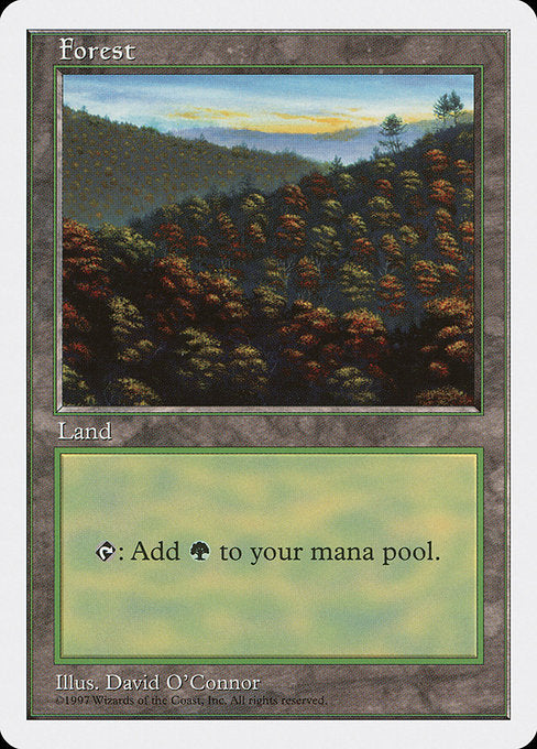 (英)森 / Forest【5ED】 No.448