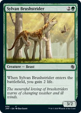 (英)森の刷毛履き / Sylvan Brushstrider【JMP】 No.434