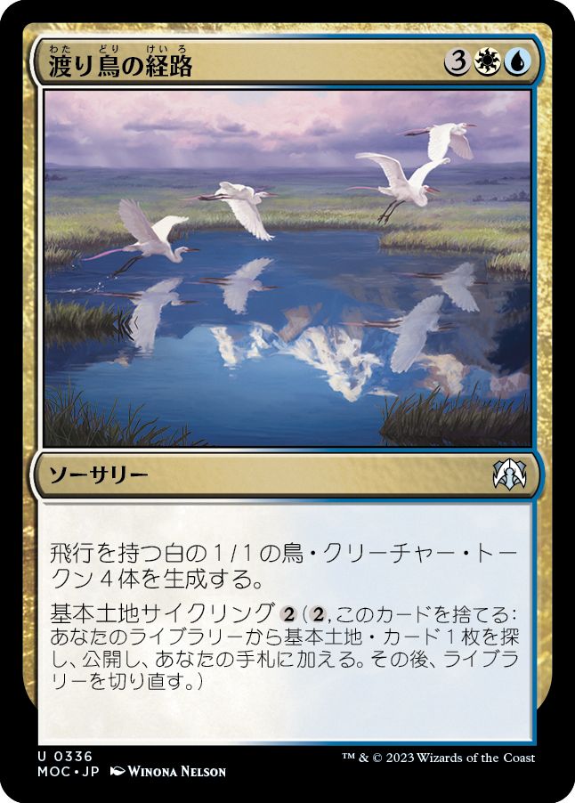 (日)渡り鳥の経路 / Migratory Route【MOC】 No.336