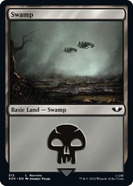 (英)沼 / Swamp【40K】 No.313