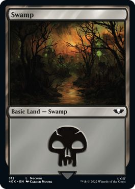 (英)沼 / Swamp【40K】 No.312